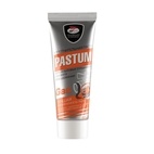 Паста для уплотнения резьбовых соединений Pastum, газ (60 гр)