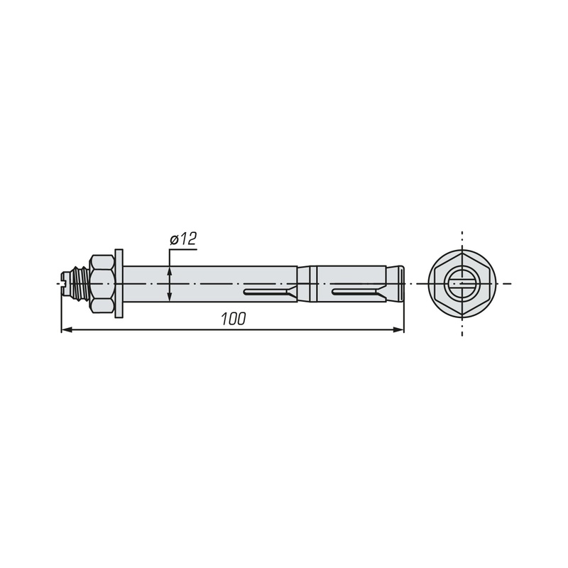 Болт анкерный двухраспорный SWFS 12х100 (40 шт)