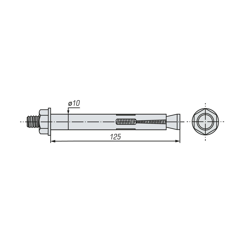 Болт анкерный с гайкой SWFS 10х125 (2 шт)