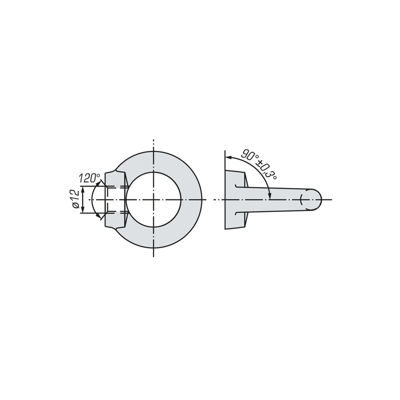 Рым-гайка SWFS DIN582 М12 (1 шт) пакетик