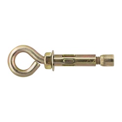 Болт анкерный с кольцом SWFS 10х60 (2 шт)